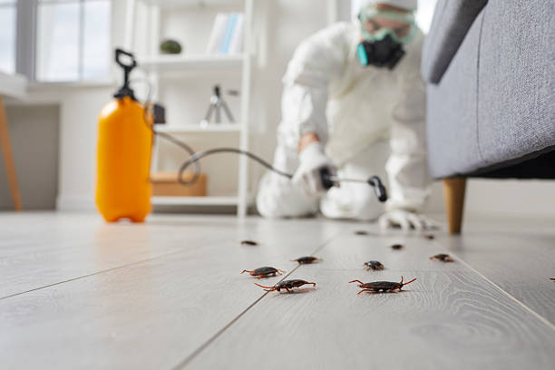 Trusted Rodent Control service in Greenbrier, TN - Nex Pest Control