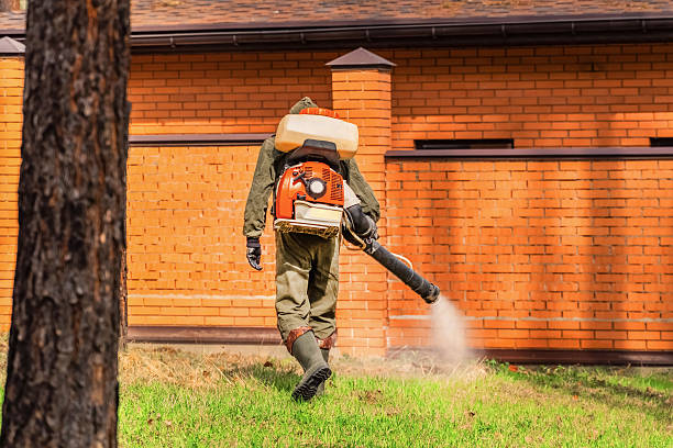 Trusted Cockroach Control service in Greenbrier, TN - Nex Pest Control